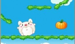 兔子吃瓜日记,趣味盎然的田园生活记录