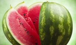 济宁高尚娴雅吃瓜,品味瓜果时光