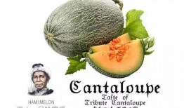 大头吃搅瓜,一场趣味横生的美食冒险之旅