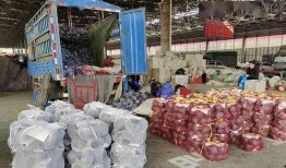 山东寿光东城吃瓜,尽享清凉夏日时光