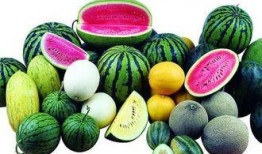 广州金融圈吃瓜,揭秘幕后“吃瓜”风云