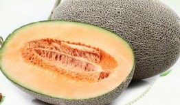 哈密瓜可以怎样吃,创意吃法大盘点