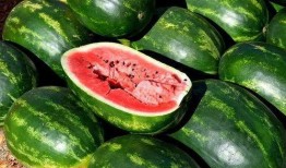 吃蔬瓜拉肚子,揭秘蔬瓜拉肚子的原因与应对策略”