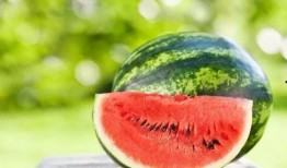 瓜哥吃瓜收集翅膀,揭秘瓜界奇闻异事