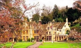 英国留学改造吃瓜,从吃瓜到融入英式饮食文化的蜕变之旅