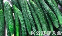 梦见在地里吃瓜,揭秘在地里吃瓜的神秘寓意