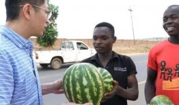 最新吃瓜打架事件,明星互撕，真相揭秘！