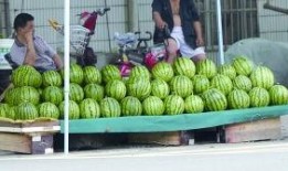 南京的吃瓜,一瓜一世界，尽享人间烟火气