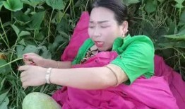 吃瓜看瓜觉得别人幸福,揭秘那些看似幸福的背后真相