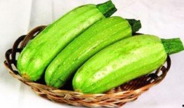 直播吃西葫芦吃瓜,西葫芦美食大赏，吃瓜群众齐分享