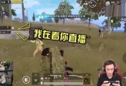 吃鸡各大主播吃瓜,瓜田李下，揭秘幕后风云