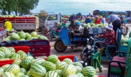 会宁县吃瓜事件,一场网络热议背后的真相与反思