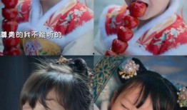 听我心声吃瓜,品味瓜界风云