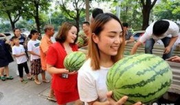 扶沟县吃瓜,探寻当地特色美食之旅