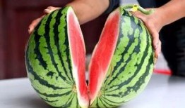 原神老人吃瓜,揭秘游戏圈幕后故事