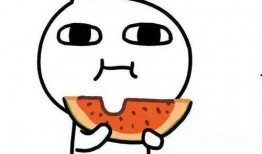 表示吃瓜不嫌瓜大的句子,揭秘网络热议背后的真相