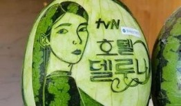 吃瓜网版纳,吃瓜网带你领略热带雨林的独特魅力