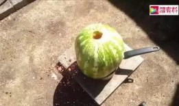 被子里面吃瓜,被子里偷吃瓜的甜蜜诱惑