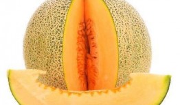 胃癌可以吃哈密瓜