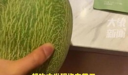 吃瓜网民梅女士,揭秘娱乐圈那些不为人知的幕后故事