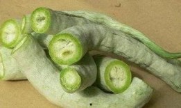 福建吃蛇瓜吗,蛇瓜的食用文化