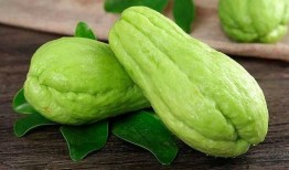 岱山吃瓜,品味特色吃瓜文化，畅享清凉夏日时光