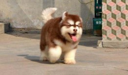 吃瓜遛弯,揭秘娱乐圈背后的故事与趣闻