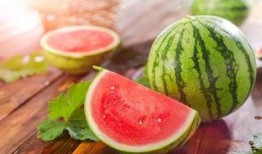 南北吃瓜,一场关于吃瓜的味蕾盛宴