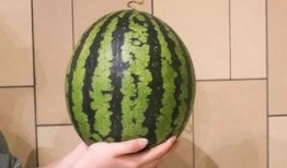 广州金融圈吃瓜,揭秘幕后“吃瓜”风云