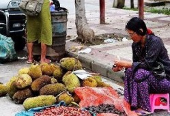 缅甸真实视频吃瓜,揭秘当地民众的日常生活