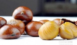 吃板栗瓜可以减肥嘛,揭秘吃板栗瓜的瘦身奥秘