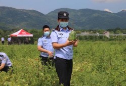 防疫警察吃瓜,警察化身“吃瓜群众”，展现抗疫温情瞬间