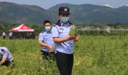 防疫警察吃瓜,警察化身“吃瓜群众”，展现抗疫温情瞬间