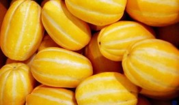 运运吃瓜,揭秘娱乐圈幕后故事