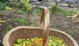 英国留学改造吃瓜,从吃瓜到融入英式饮食文化的蜕变之旅