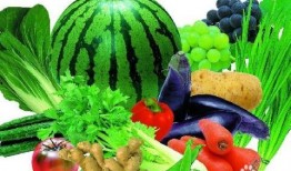 直播吃西葫芦吃瓜,西葫芦美食大赏，吃瓜群众齐分享