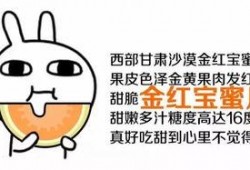 去看看吃瓜群众,网络热词背后的社会现象