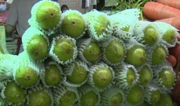 吃葫芦瓜是否致癌,美味还是致癌隐患？揭秘葫芦瓜与癌症的关系