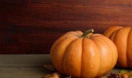 肠胃湿热可以吃瓜吗,适宜食用瓜类水果的智慧选择