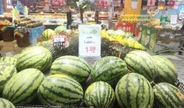 聊城吃瓜节,夏日狂欢，瓜果飘香，共享丰收喜悦