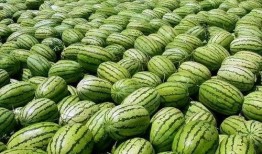 美得发紫吃瓜的视频