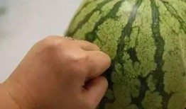 当当在吃瓜,揭秘娱乐圈幕后真相