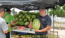 吃瓜找他,探寻娱乐圈背后的秘密