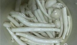 吃中药可以吃白玉菇瓜吗