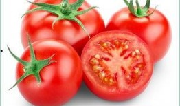 哈密瓜番茄一起吃,营养互补的夏日美食新主张