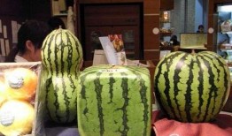 被子里面吃瓜,被子里偷吃瓜的甜蜜诱惑