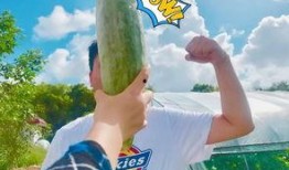 朋友只会吃瓜,揭秘朋友们的“吃瓜”生活