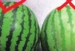 吃瓜小圆,揭秘娱乐圈那些不为人知的幕后故事