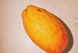 最美吃瓜法,解锁夏日消暑新姿势