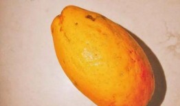 最美吃瓜法,解锁夏日消暑新姿势